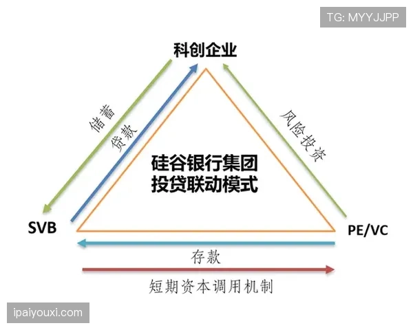 杜埃的技术上限与实际价值是否存在显著落差？